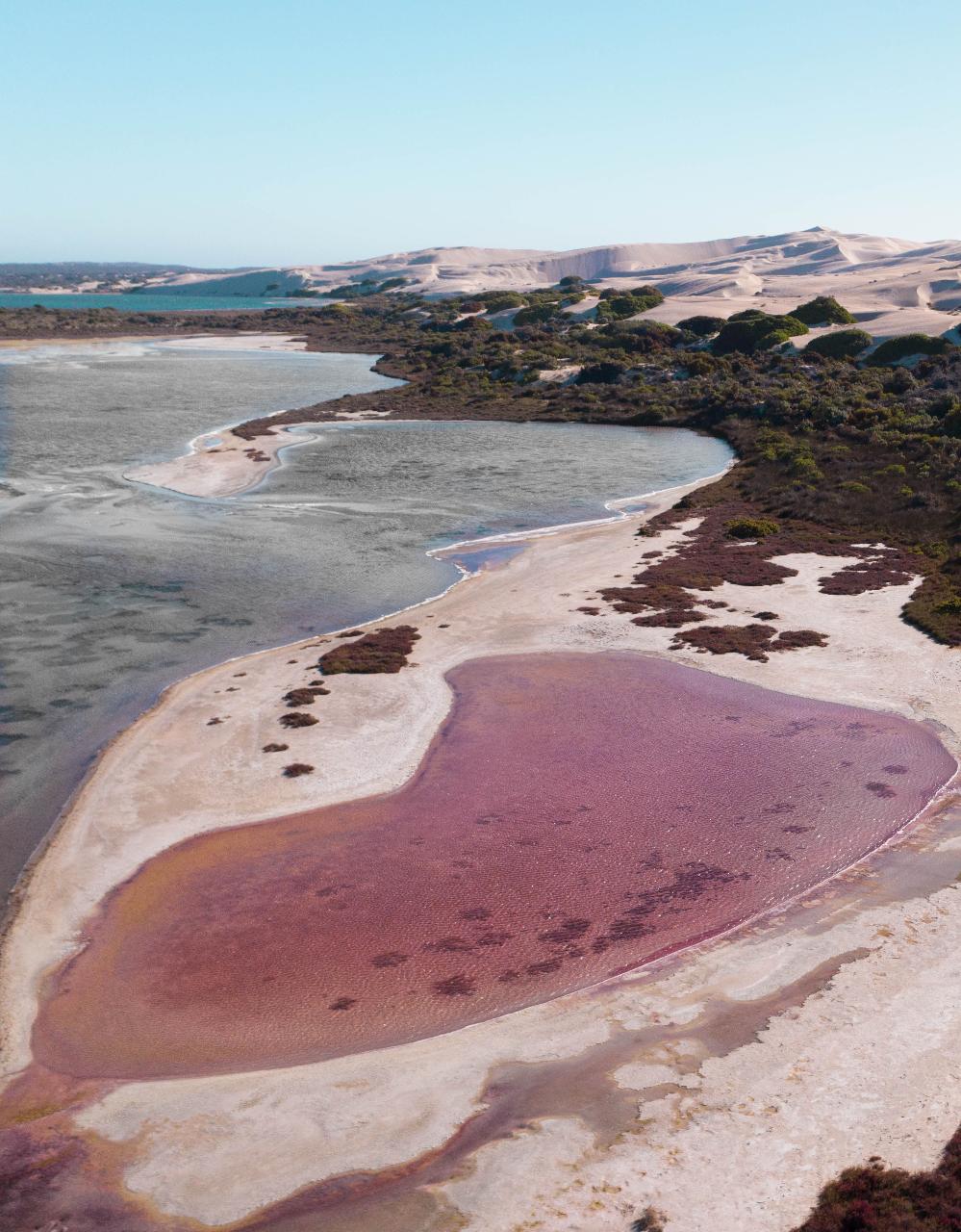 Aerial photography, drone photography by Zenith Point Media