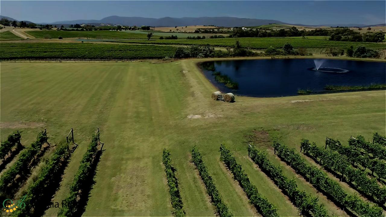 Aerial photography, drone photography by Seven Pro Drones