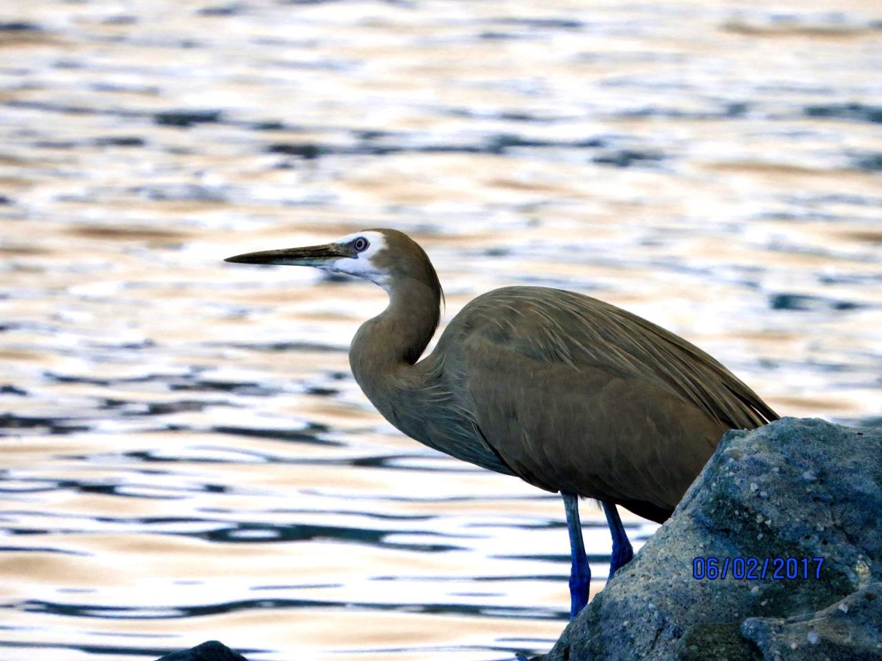 Aerial photography, drone photography by Jerita Photography