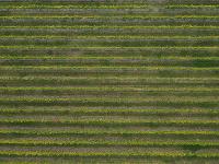 Sky Eye Imagery Australia