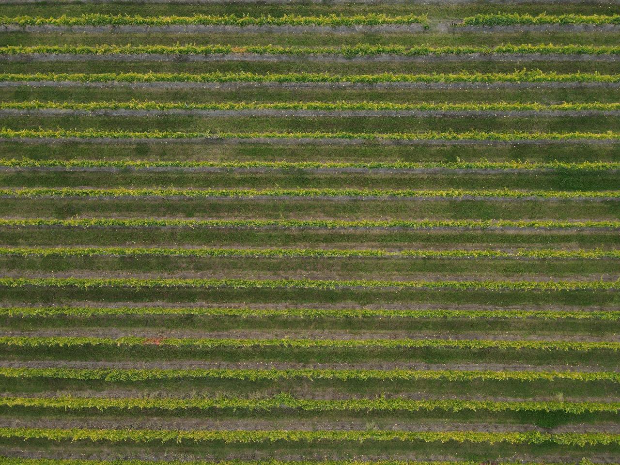 Aerial photography, drone photography by Sky Eye Imagery Australia