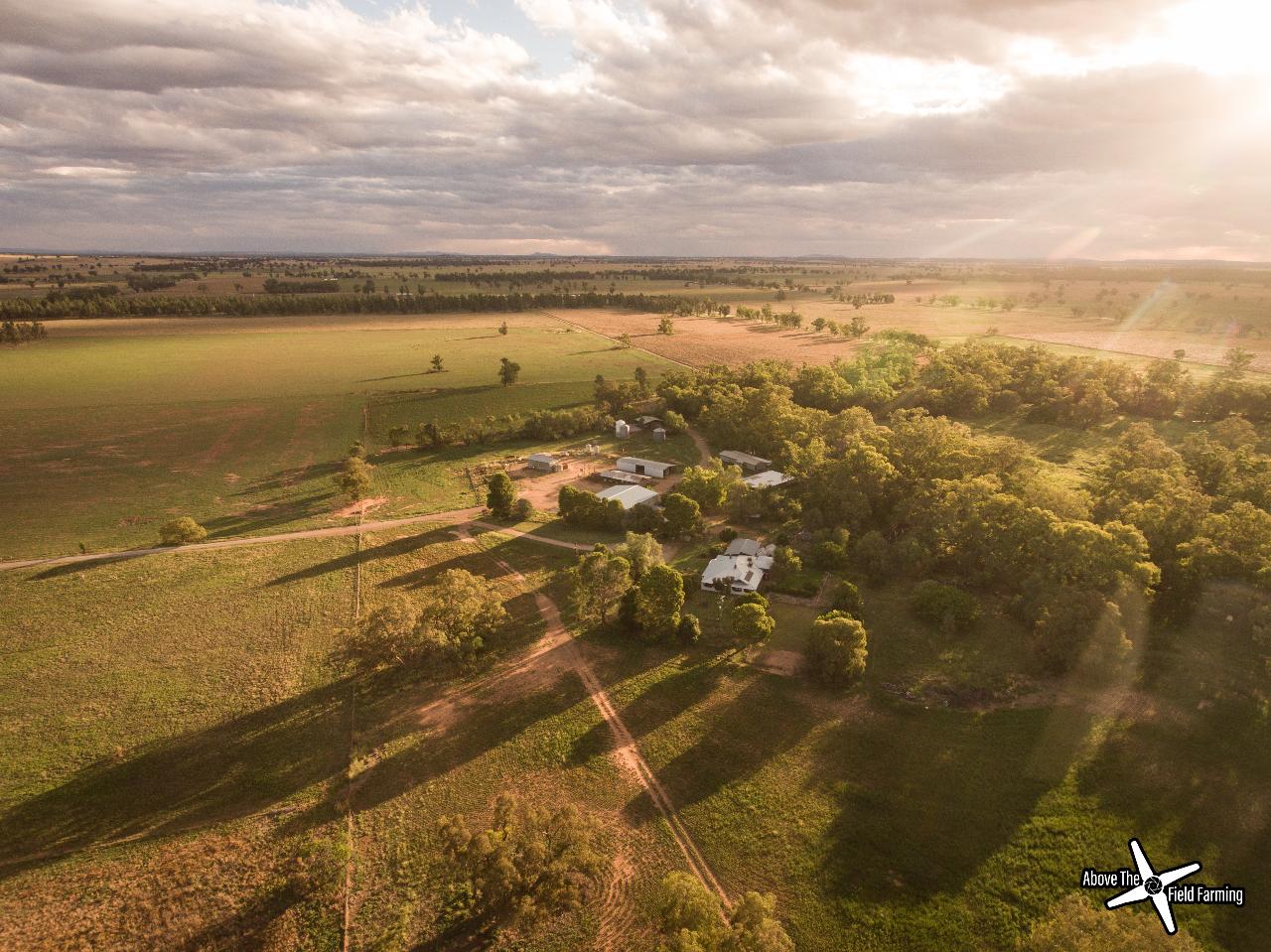 Aerial photography, drone photography by Above The Field Farming