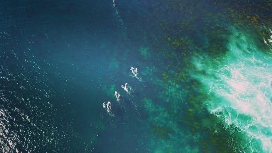 Aerial photography, drone photography by Skyline Aerial Film