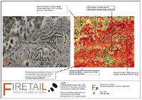 Firetail Environments