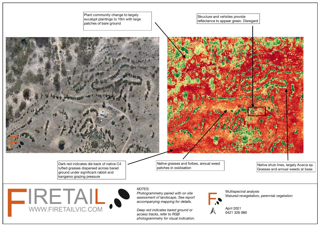 Aerial photography, drone photography by Firetail Environments