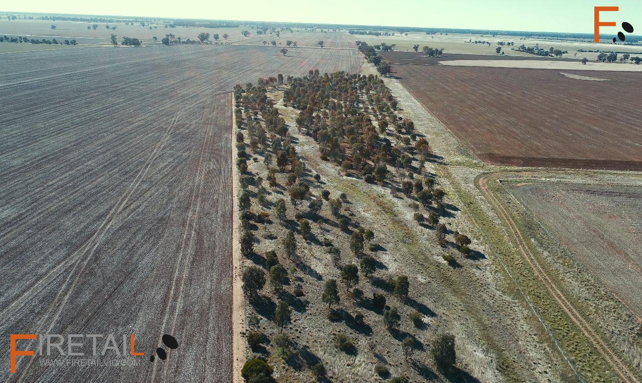 Aerial photography, drone photography by Firetail Environments