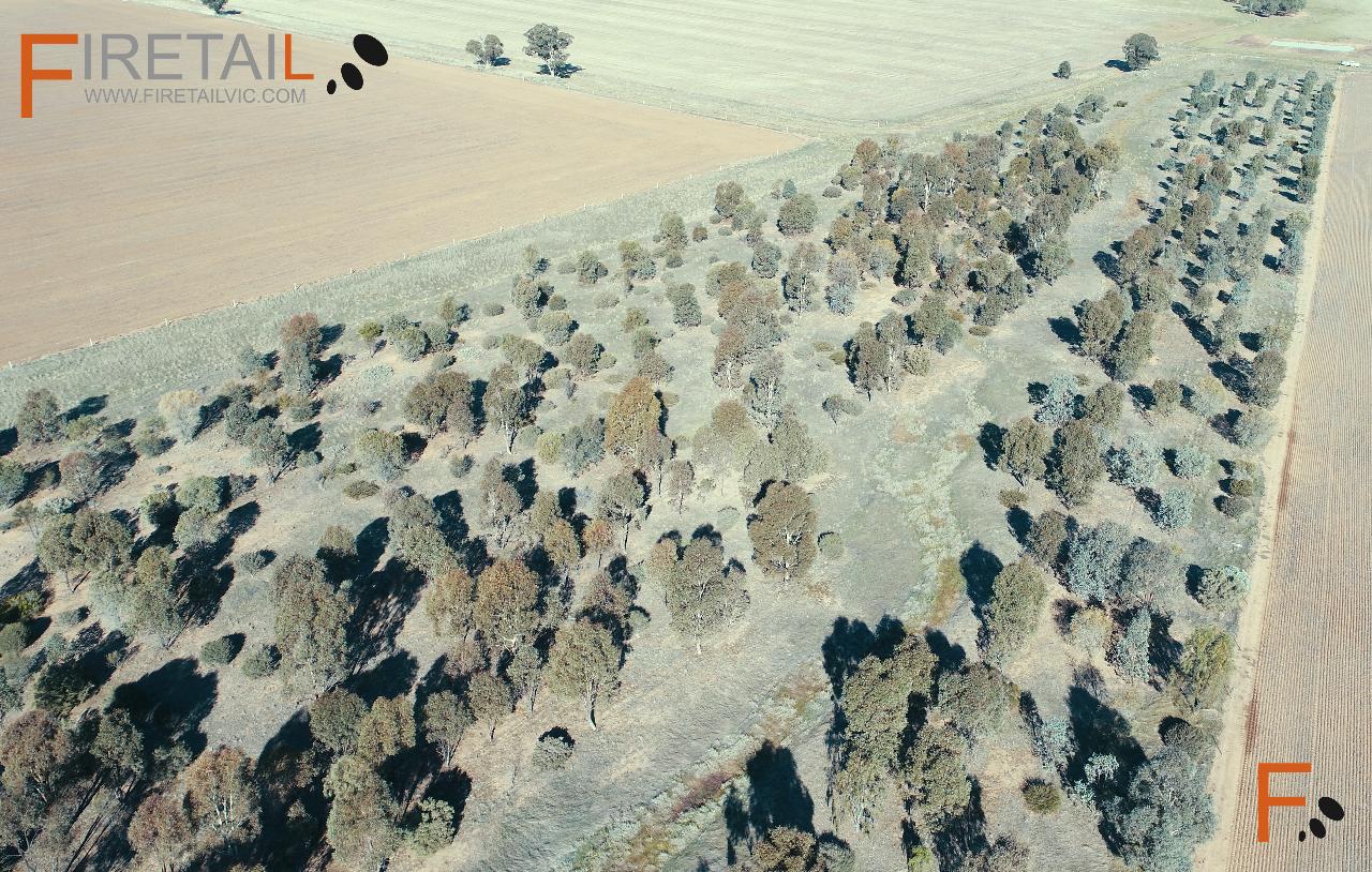 Aerial photography, drone photography by Firetail Environments