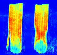 Chronos International Services