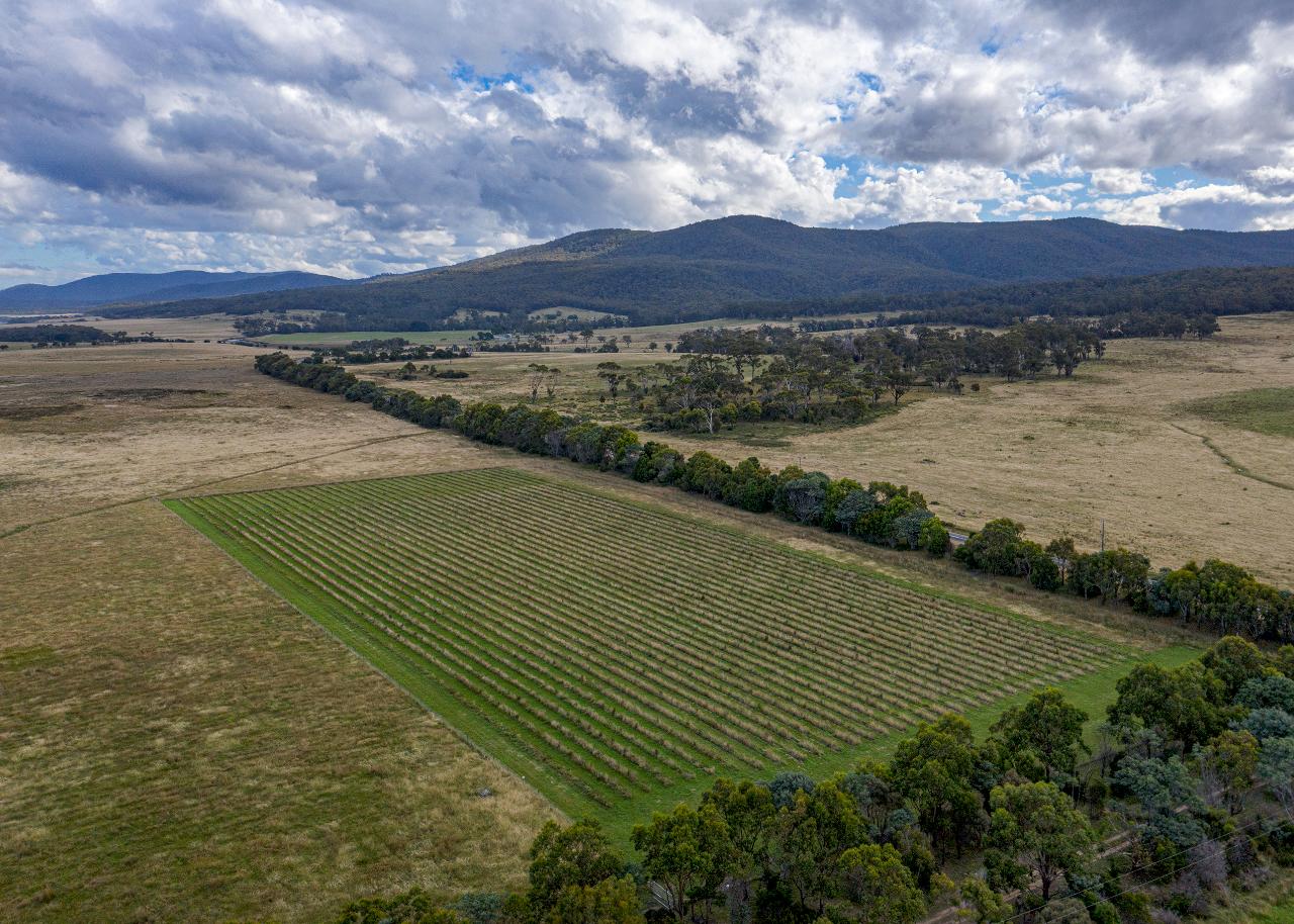 Aerial photography, drone photography by ACI.CAPTURE