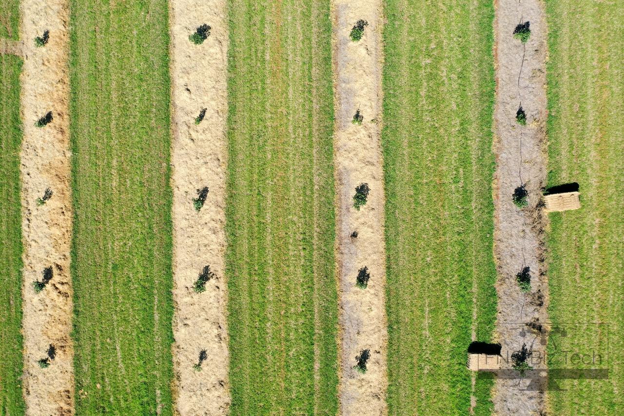 Aerial photography, drone photography by FNQ Biz Tech