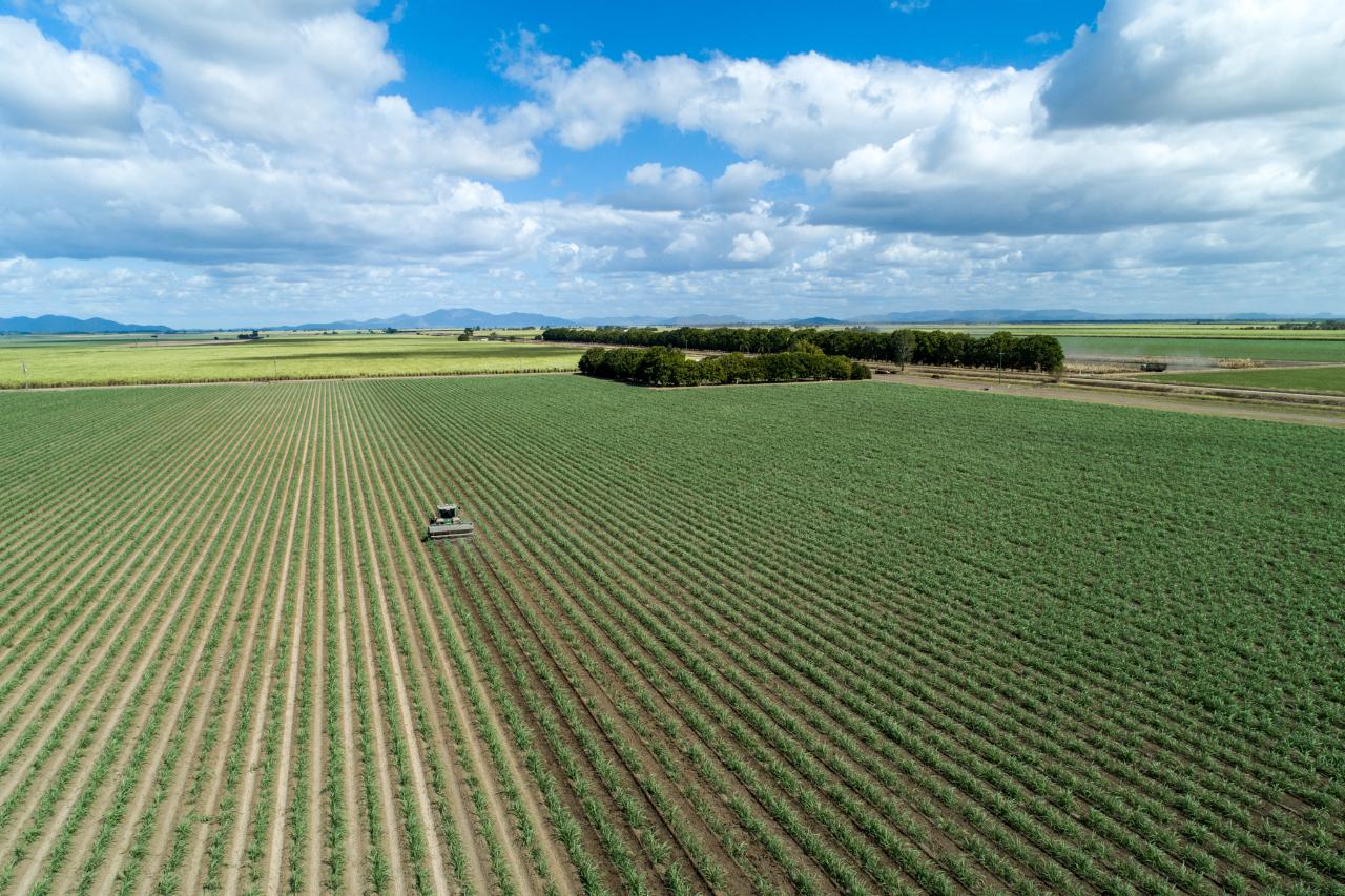 Aerial photography, drone photography by Phil Copp Photos