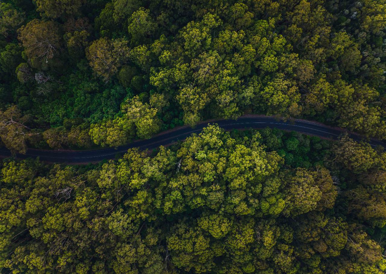 Aerial photography, drone photography by Live To Create