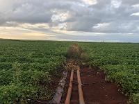 Drone Solutions Australia