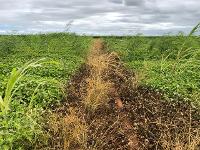 Drone Solutions Australia