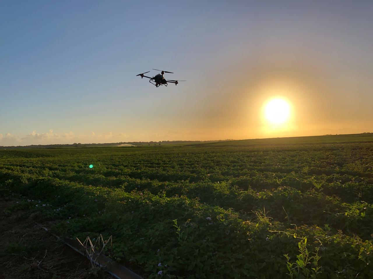 Aerial photography, drone photography by Drone Solutions Australia