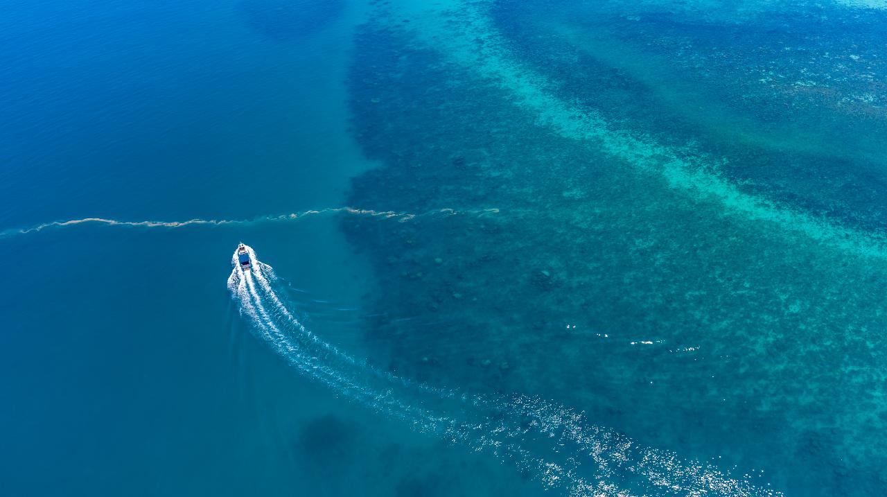 Aerial photography, drone photography by Cakewalk Media