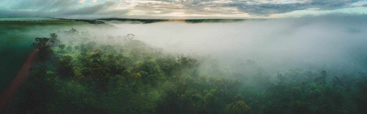 Aerial photography, drone photography by Cakewalk Media