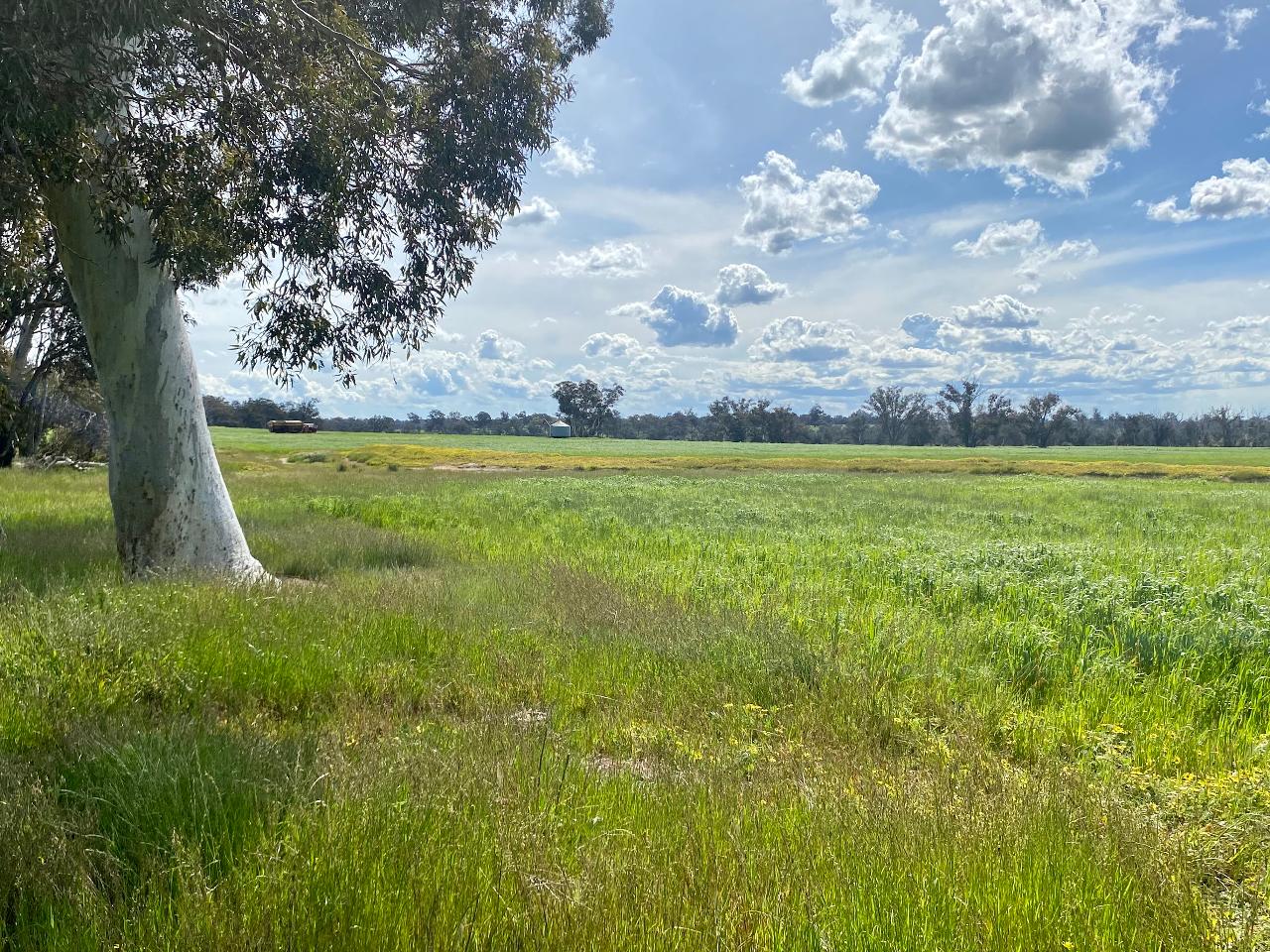 Aerial photography, drone photography by Dronerock aerial photography