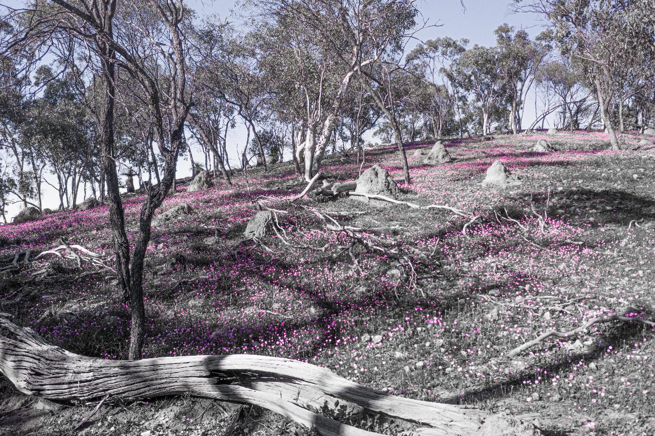 Aerial photography, drone photography by APEX DRONES