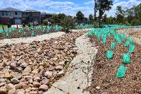 MountainScape Creative.