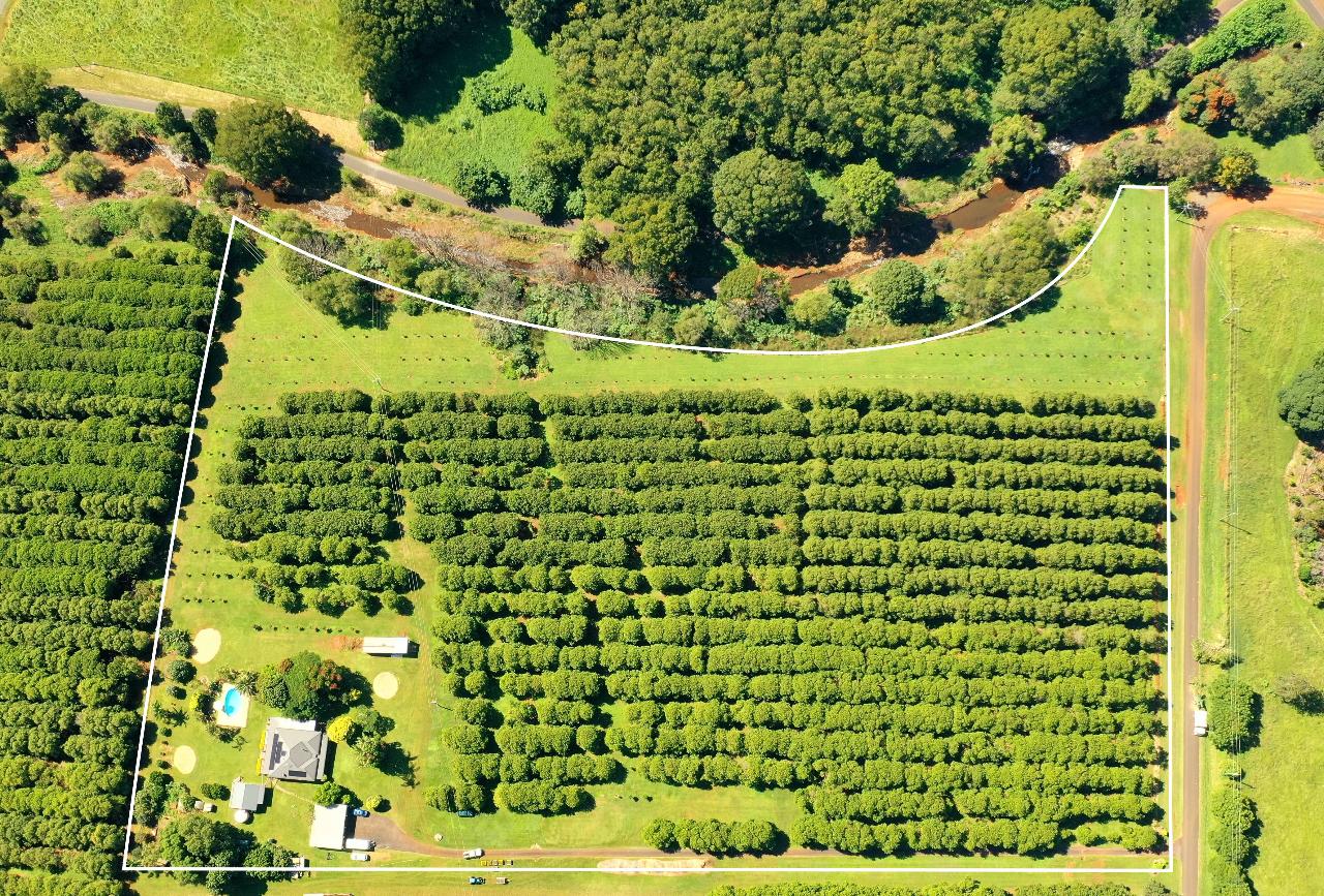 Aerial photography, drone photography by SKYBOTS