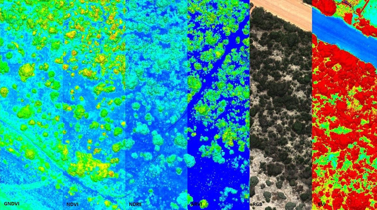 Aerial photography, drone photography by Eyesky