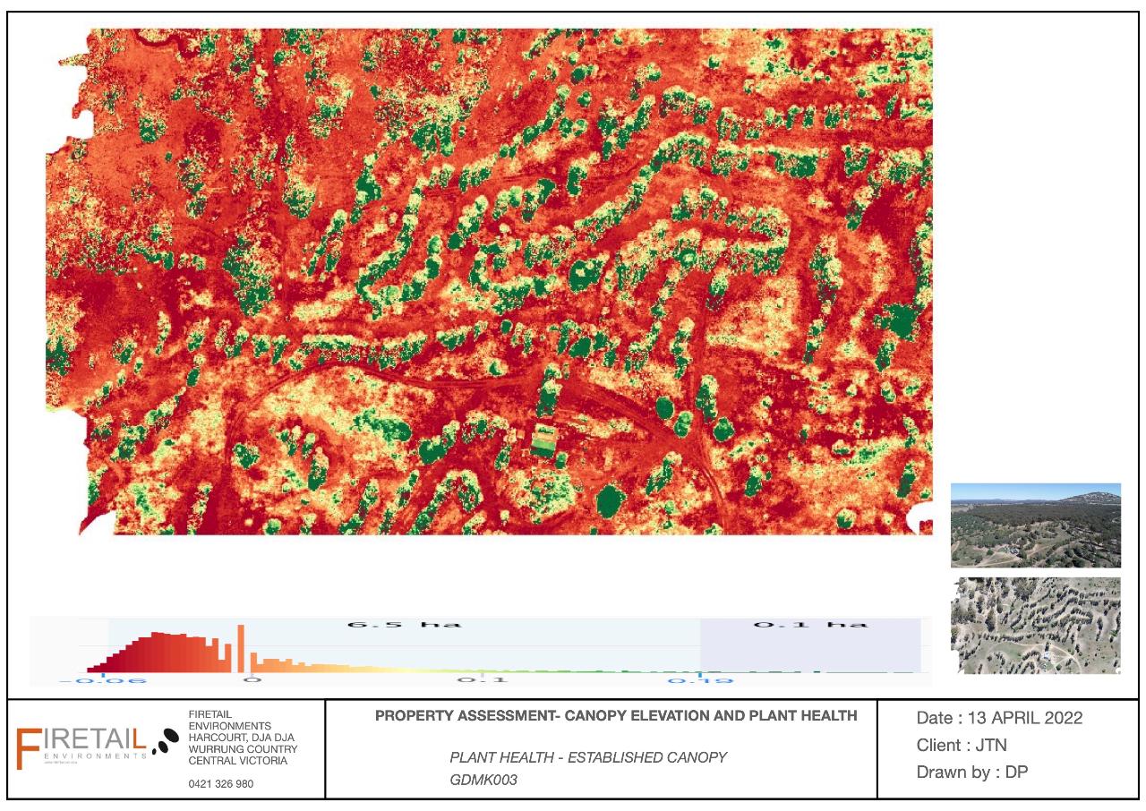 Korong Canopy and Terrain Assessment