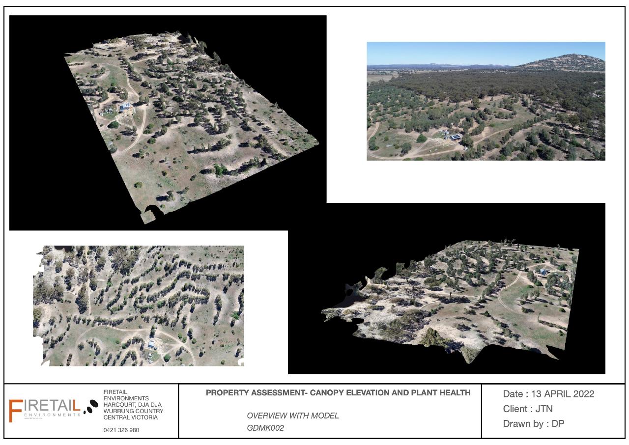 Korong Canopy and Terrain Assessment