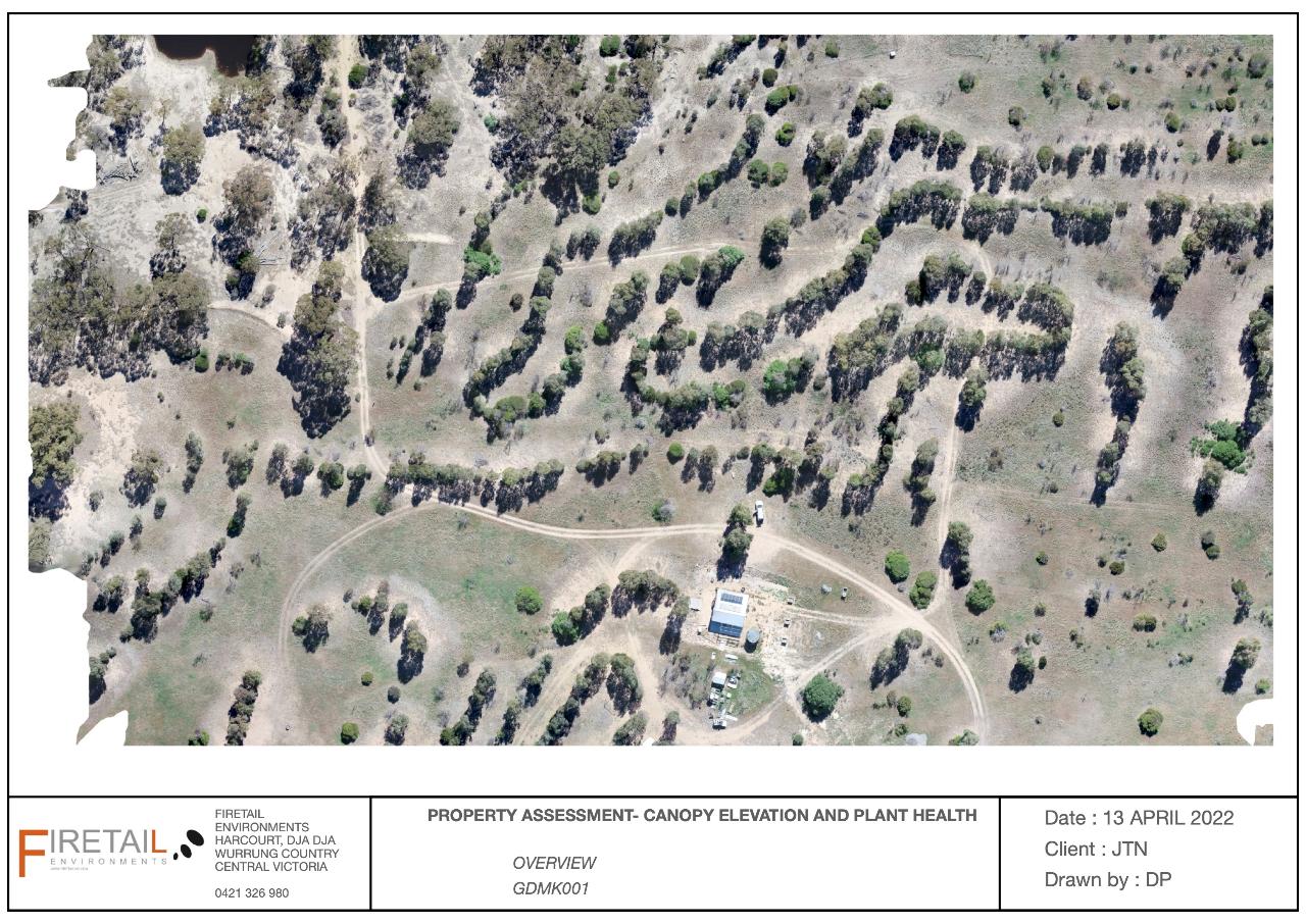 Korong Canopy and Terrain Assessment