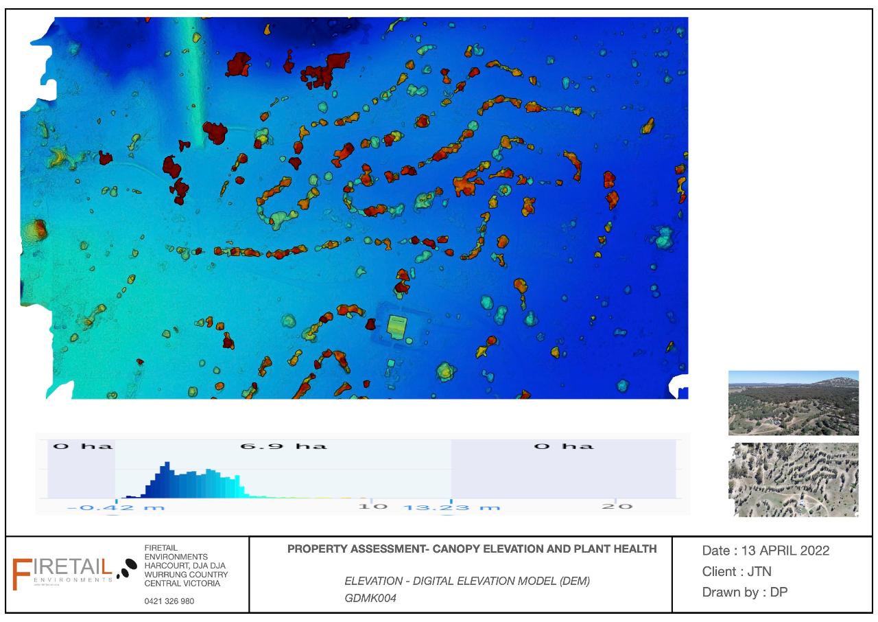 Korong Canopy and Terrain Assessment