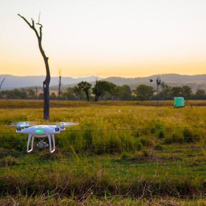 Aerial photography, drone photography by Grizzmedia