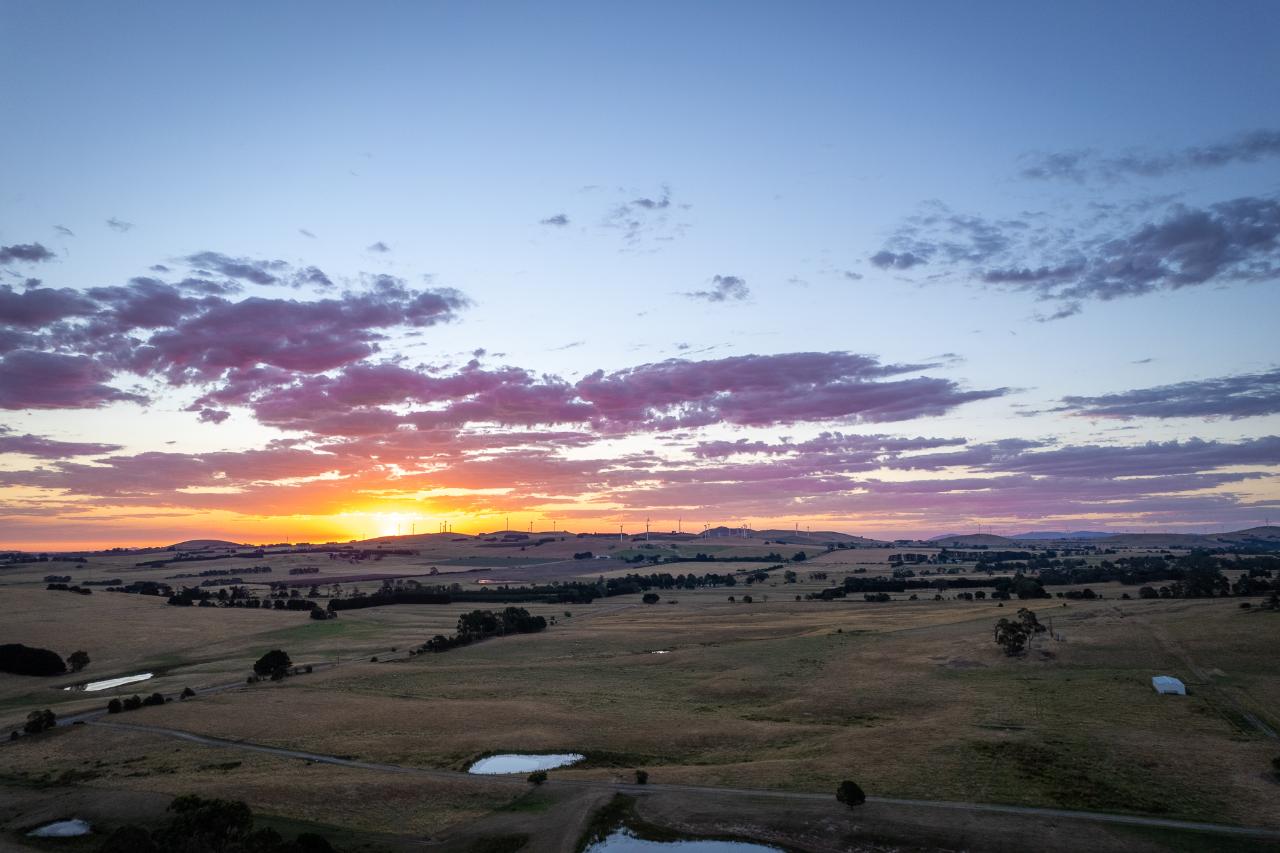Aerial photography, drone photography by Scene Below