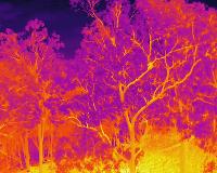 Extended Vision Pty Ltd