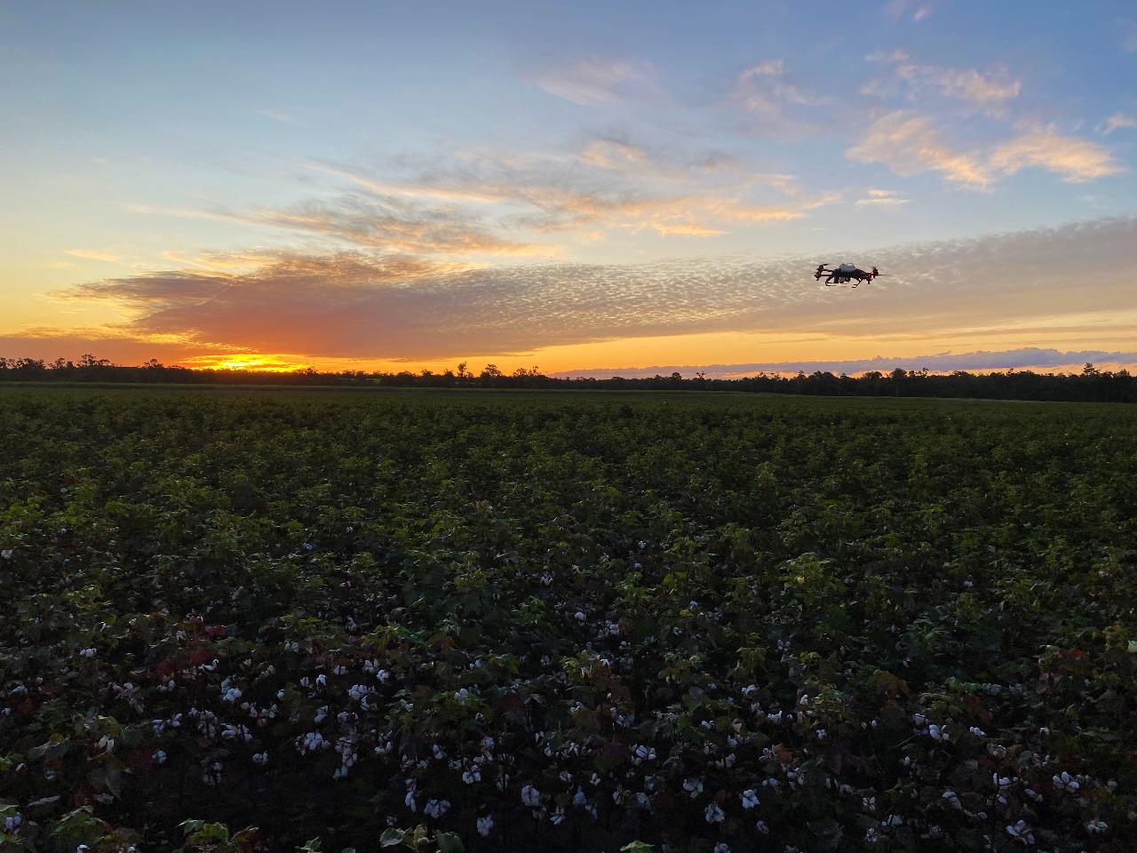 Aerial photography, drone photography by Extended Vision Pty Ltd