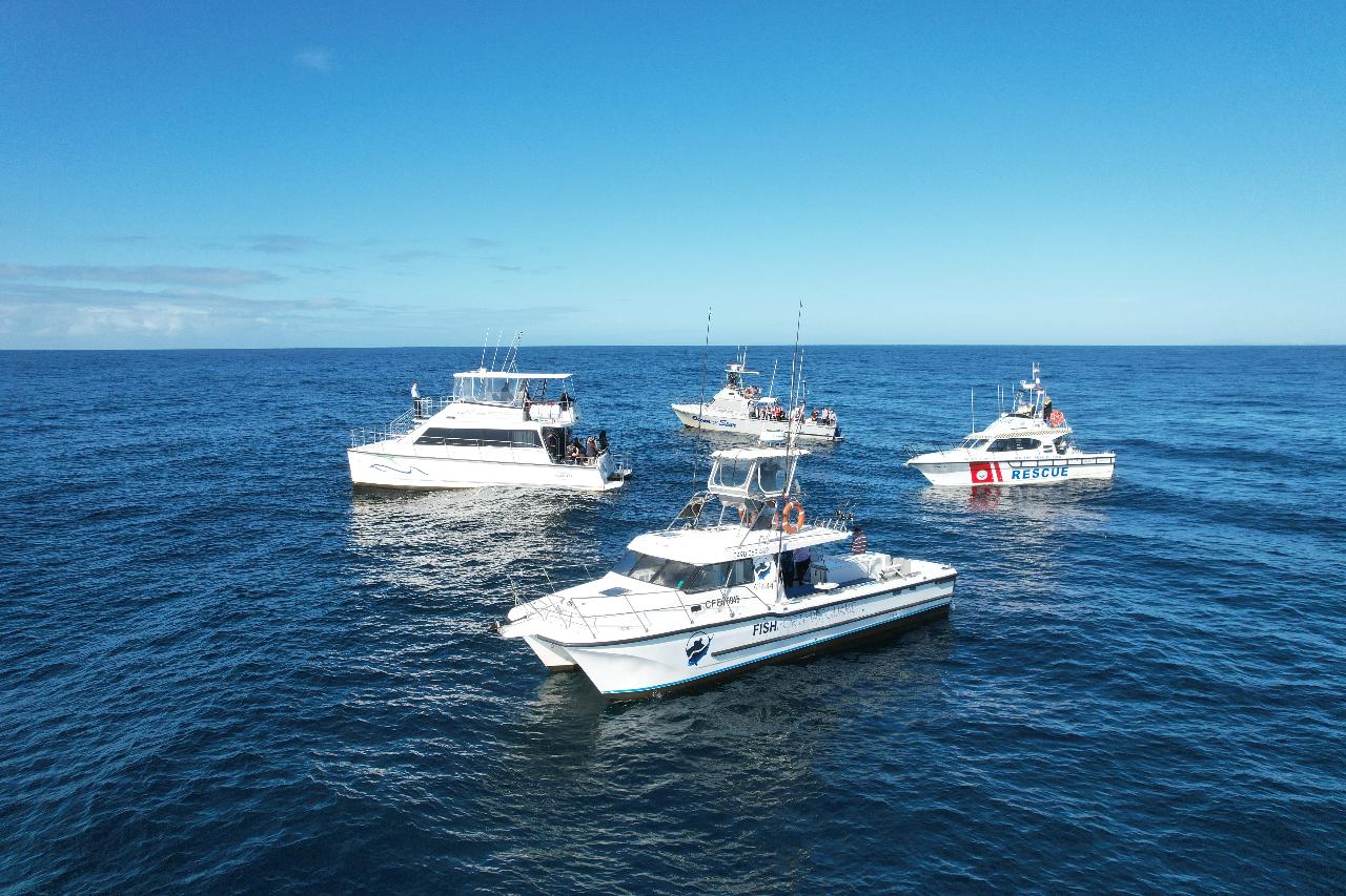 Aerial photography, drone photography by MARS Maritime