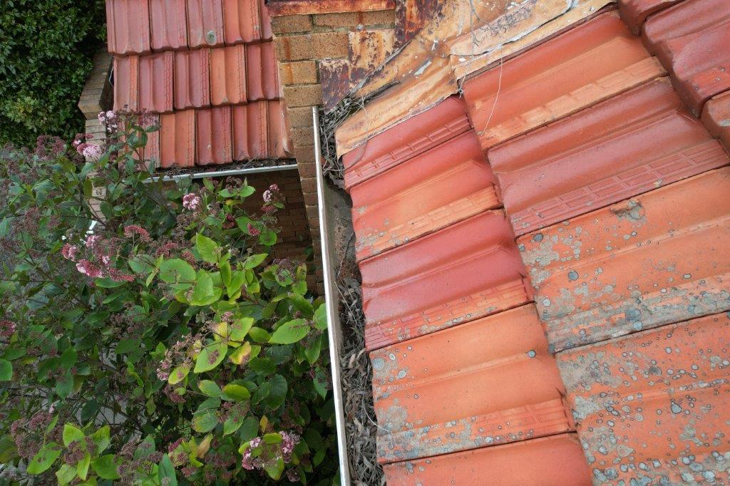 Aerial photography, drone photography by DroneServ