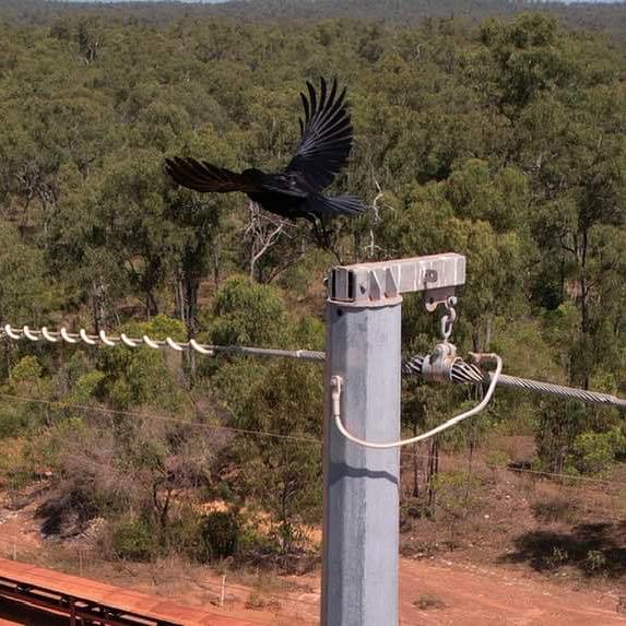 Aerial photography, drone photography by Eclipse Aeronautical