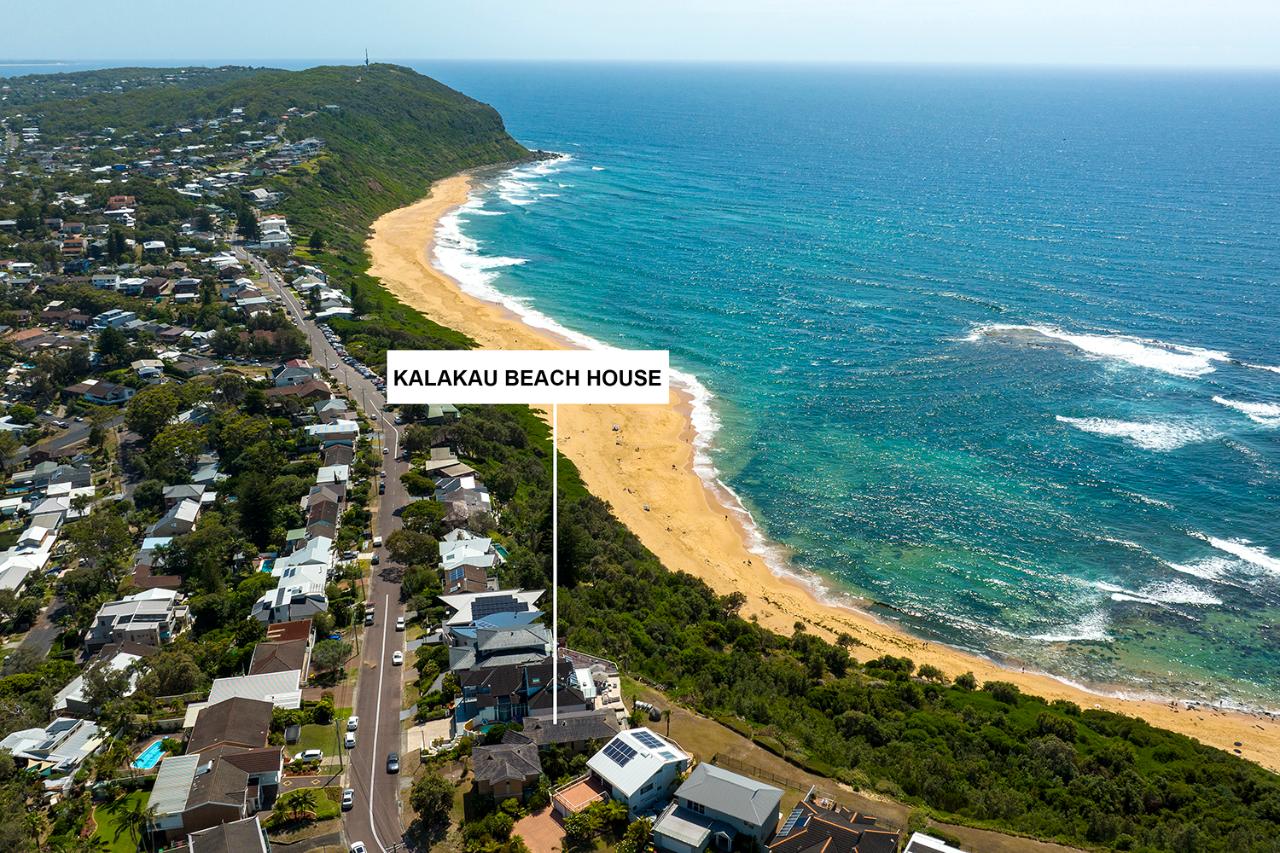 Aerial photography, drone photography by Shakeadog Photography