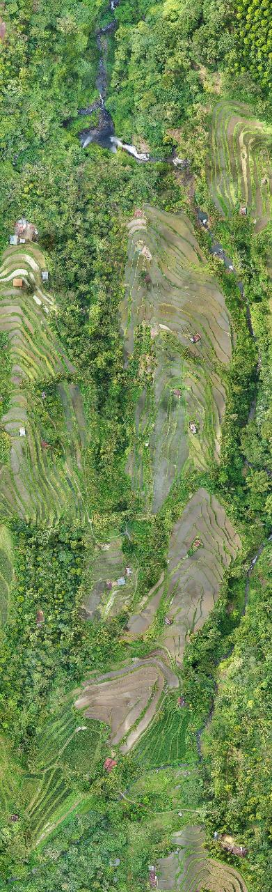 Bali - Sekumpul Waterfall and Rice Fields