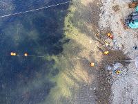 Tiago Photo and Video