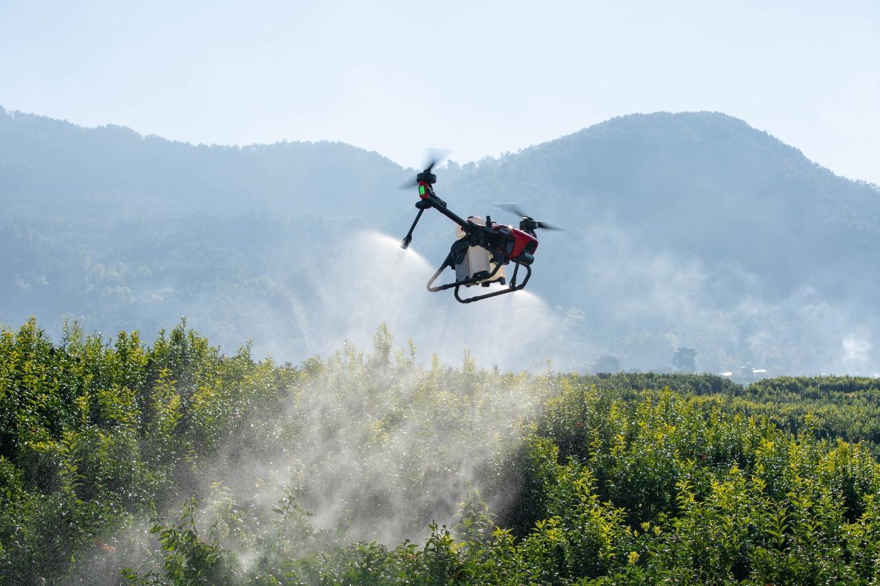 Aerial photography, drone photography by Dronetrek