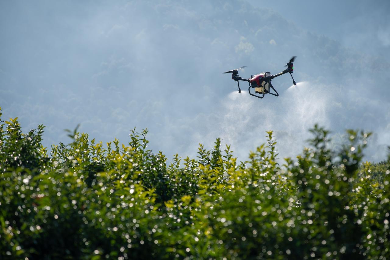 Aerial photography, drone photography by Dronetrek