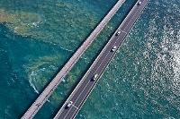 Sheer Will Photography