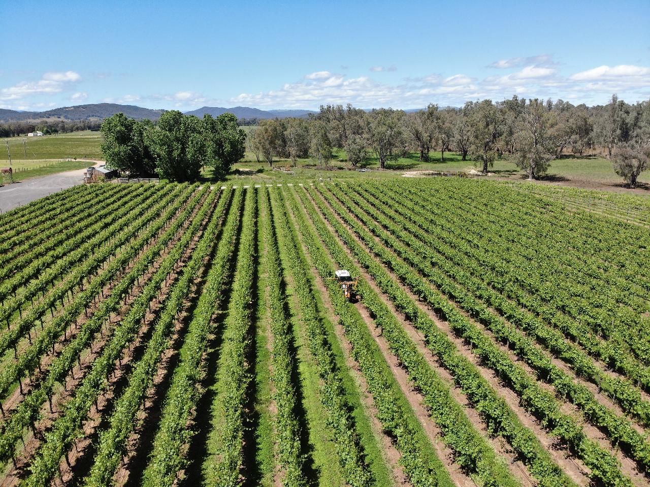 Aerial photography, drone photography by Drone Boss