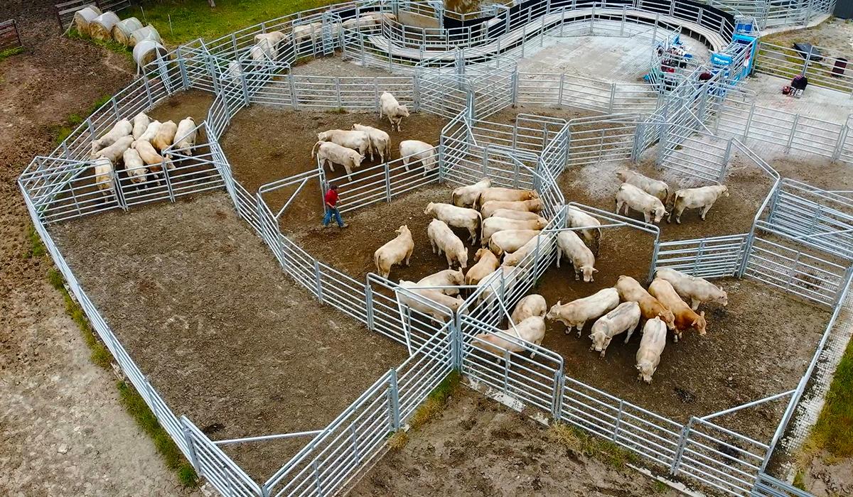 Aerial photography, drone photography by Australian Imaging and Photo Group