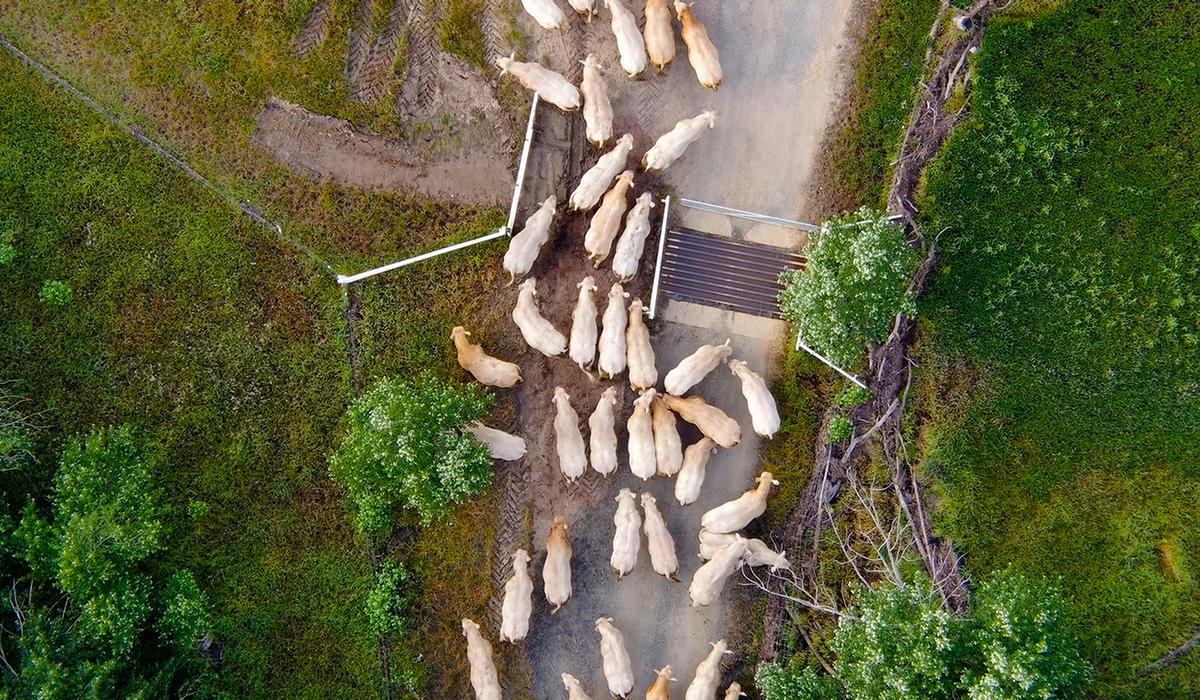 Aerial photography, drone photography by Australian Imaging and Photo Group