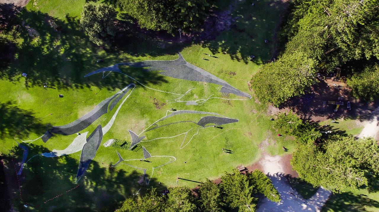 Aerial photography, drone photography by Sky Vision Media