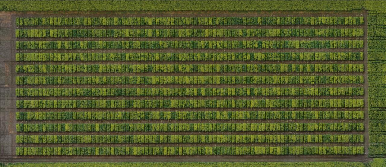 Aerial photography, drone photography by South wings