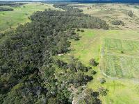 Travers bushfire & ecology