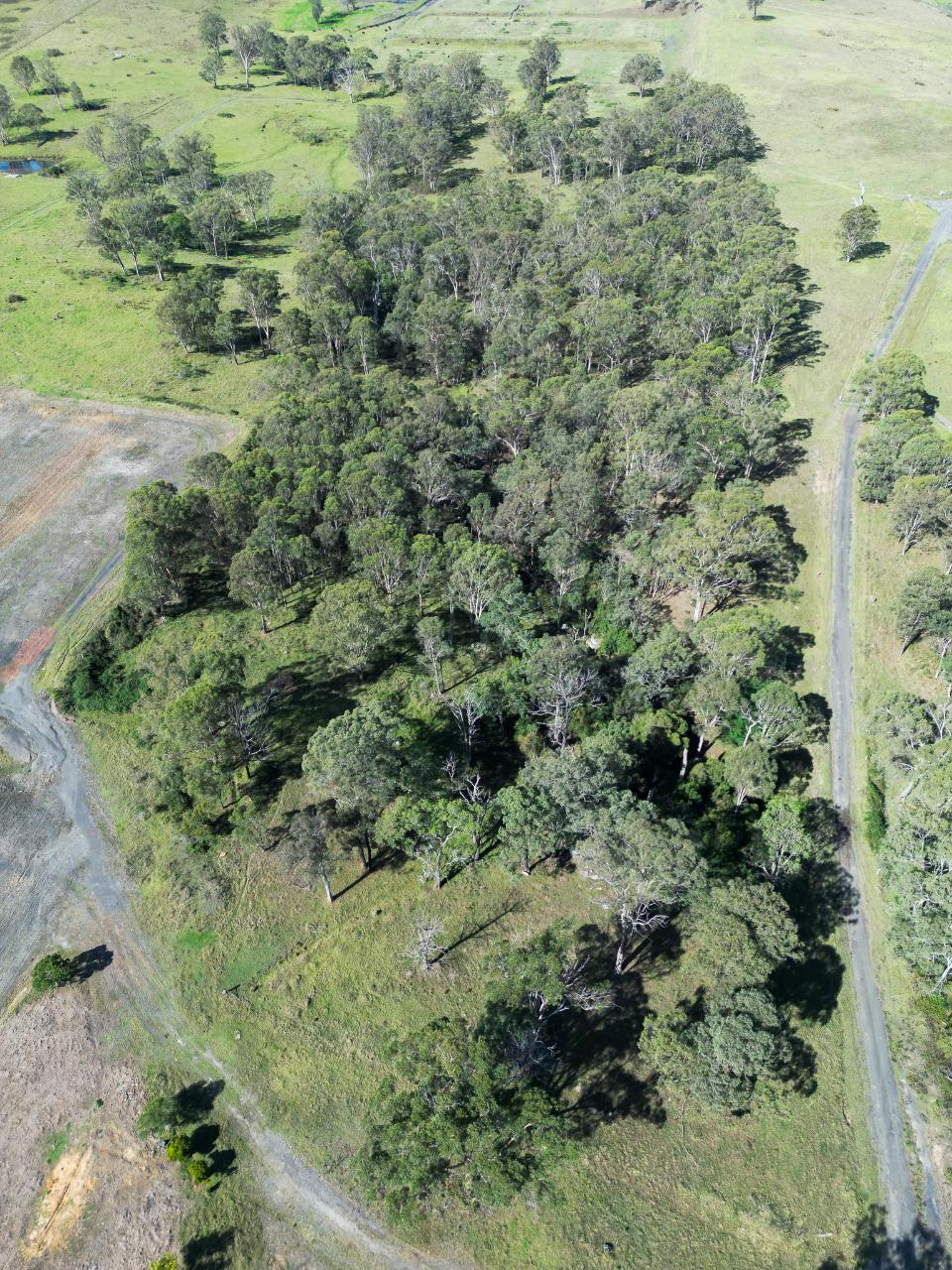 Aerial photography, drone photography by Travers bushfire & ecology